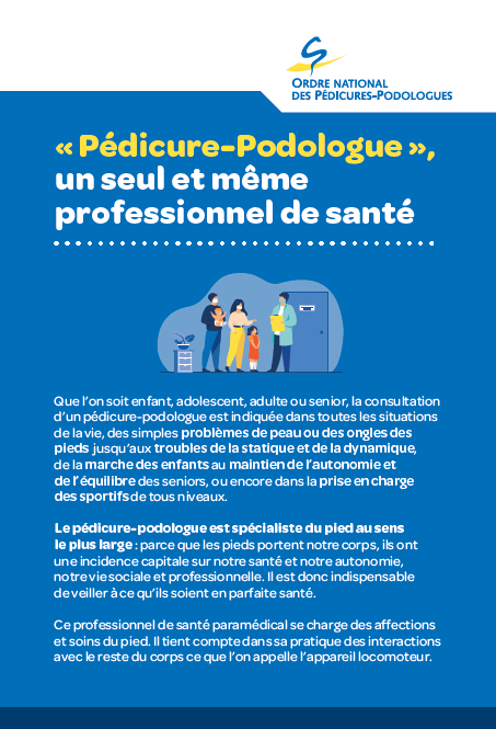 Flyer profession