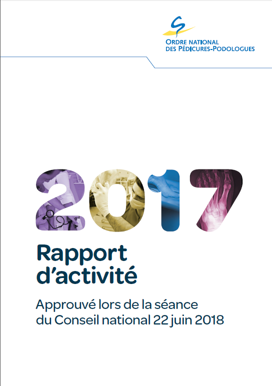 Rapport d'activité 2017